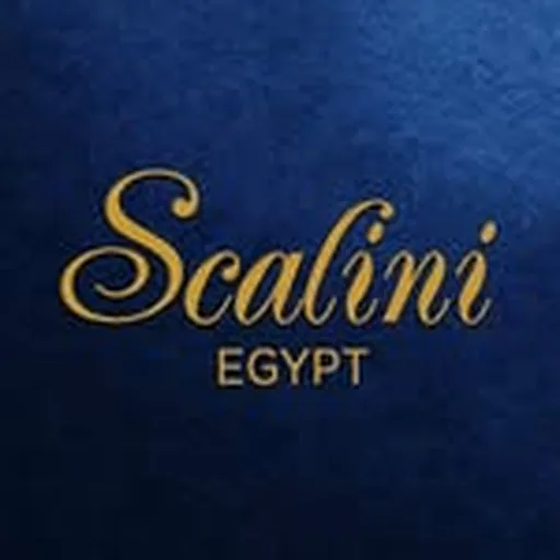 @scaliniegypt profile image