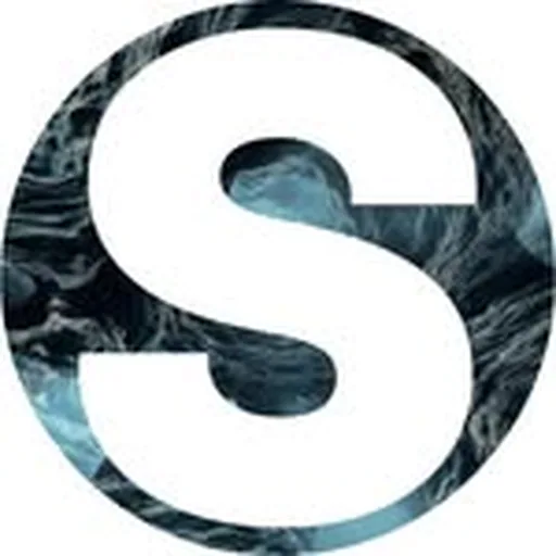 @scapinoballetrotterdam profile image