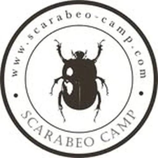 @scarabeo_camp profile image