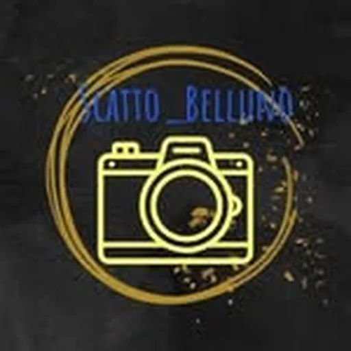 @scatto__belluno profile image
