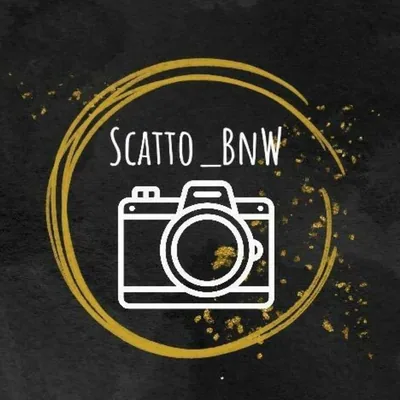 @scatto_bnw profile image