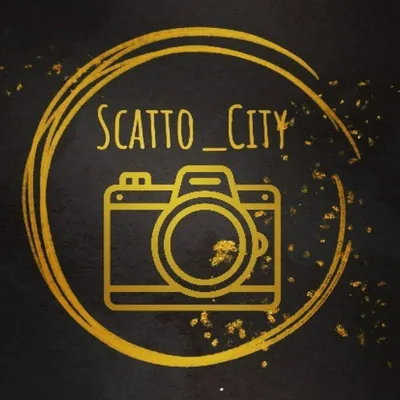 @scatto_city profile image