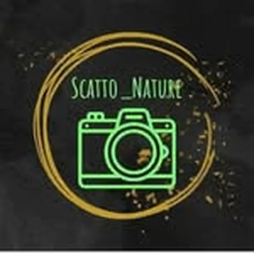 @scatto_nature profile image