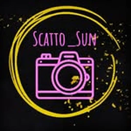 @scatto_sun profile image