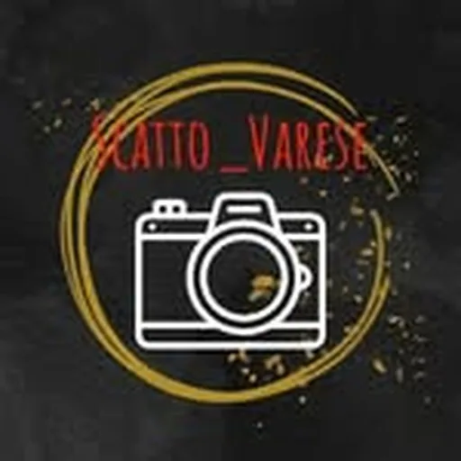 @scatto_varese profile image