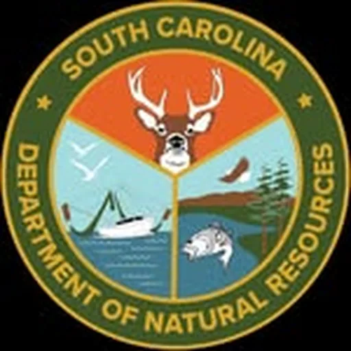 @scdnr profile image