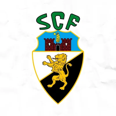 @scfarense profile image