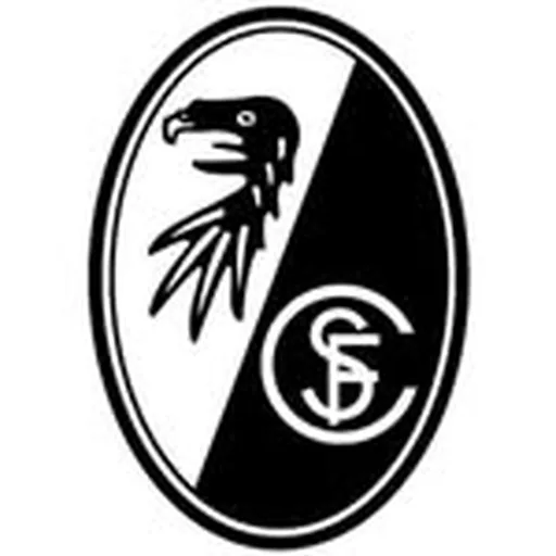 @scfreiburg profile image