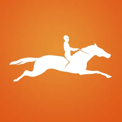 @schockemoehle_sports profile image
