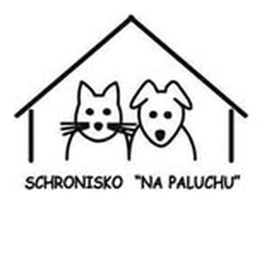 @schroniskonapaluchu profile image