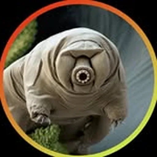 @sciencesourcestock profile image