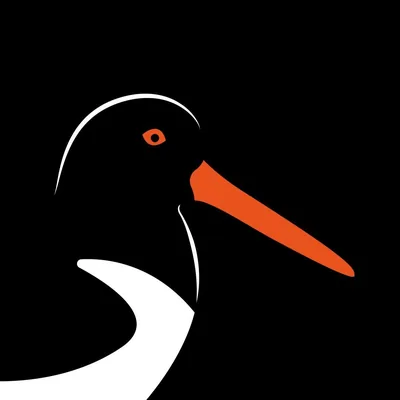 @scillywildlife profile image