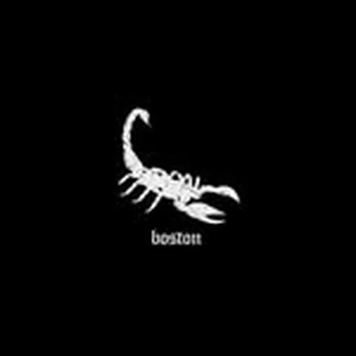 @scorpionboston profile image