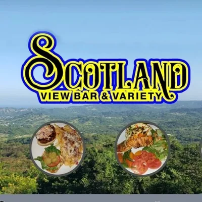 @scotlandviewbarbados profile image