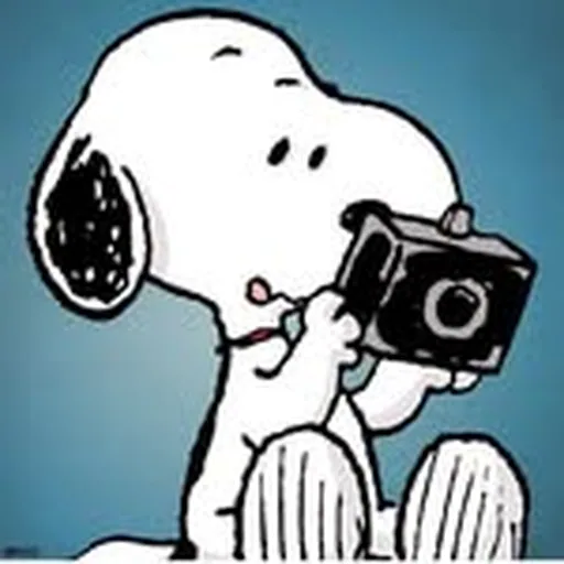 @scott.teitler profile image