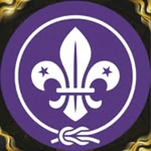 @scoutsmexicooficial profile image