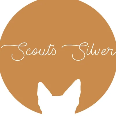 @scoutssilver profile image