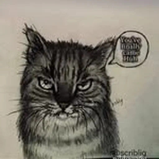 @scriblig profile image