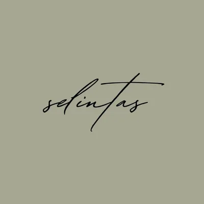 @se.lin.tas profile image