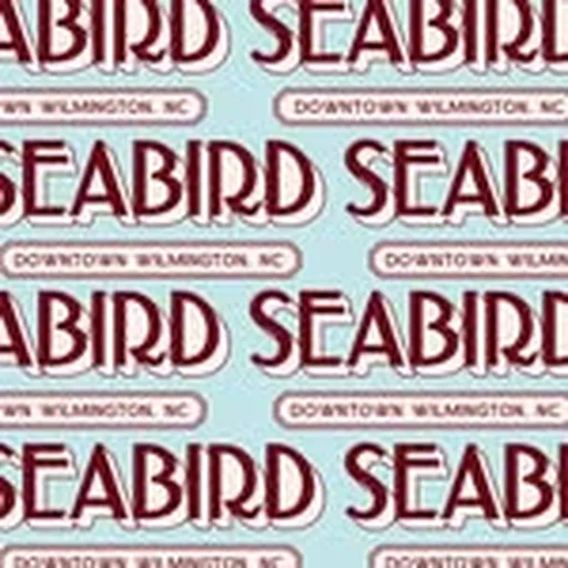 @seabirdnc profile image