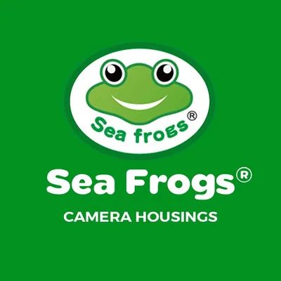 @seafrogs.com.hk profile image