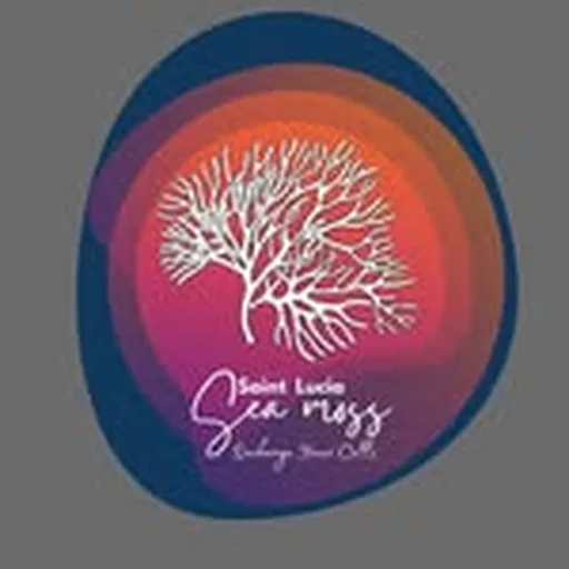 @seamoss_uae profile image