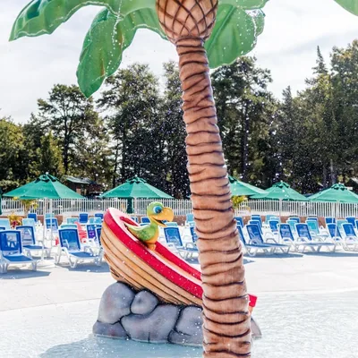 @seapiratecampgroundnj profile image