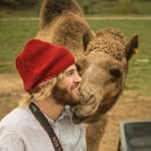 @seblindstrom profile image