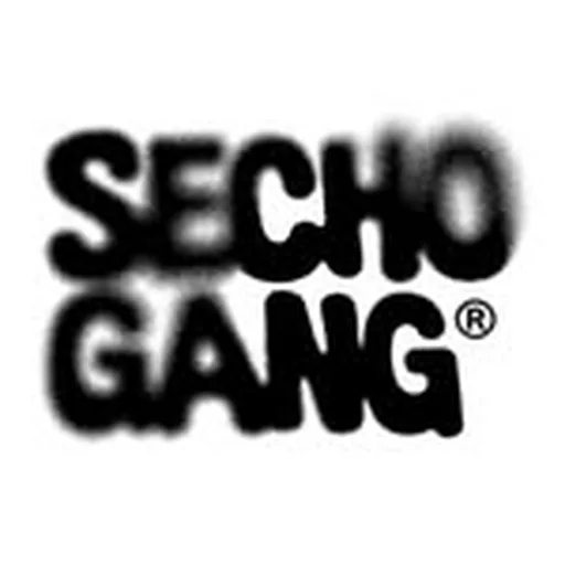 @sechmusic profile image