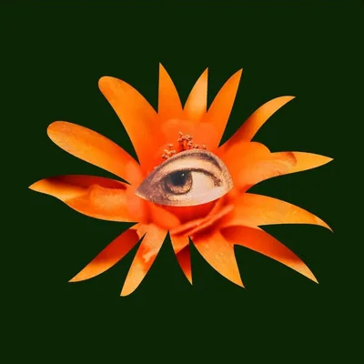 @secretgardens_pr profile image