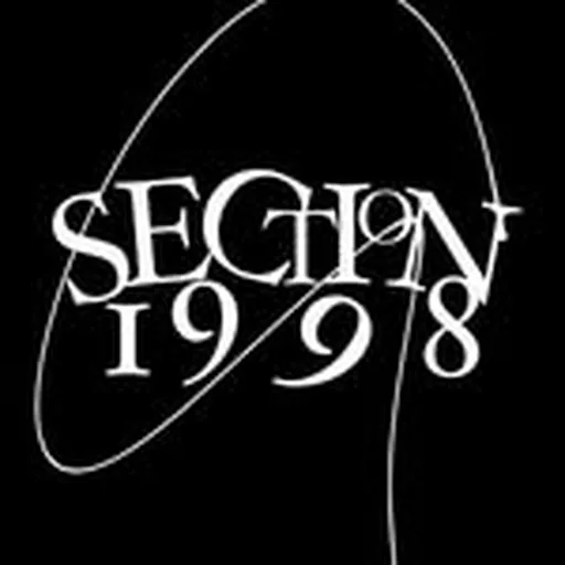@section1998 profile image