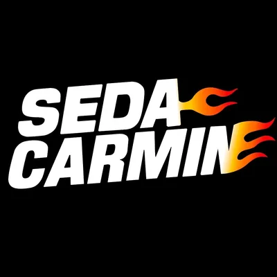 @sedacarmin profile image