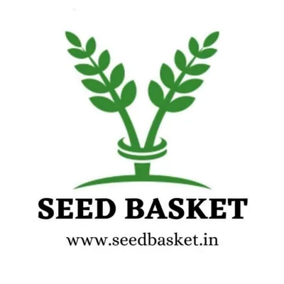 @seedbasket profile image