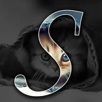 @sehinggitmedia profile image