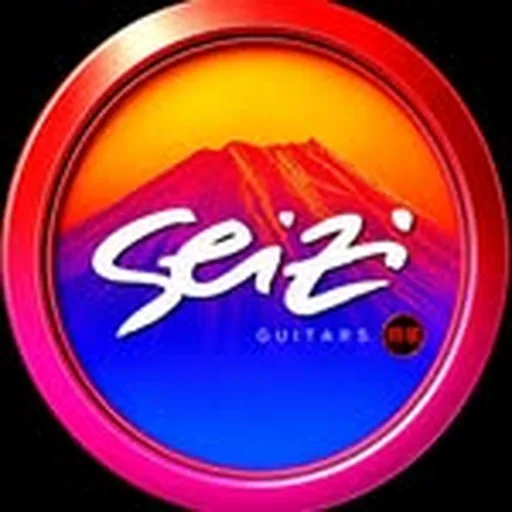 @seiziguitars profile image