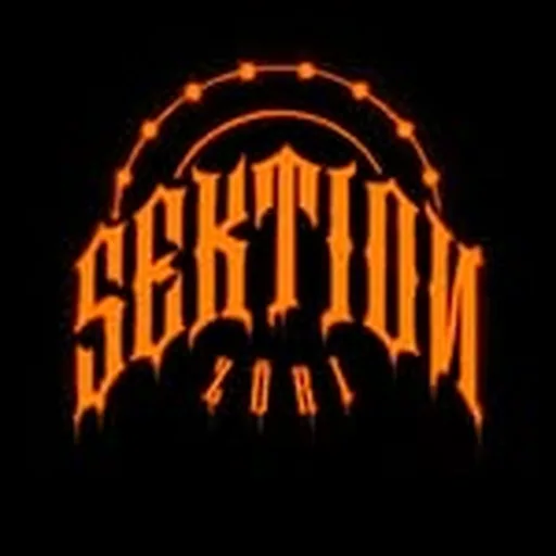 @sektionzh profile image