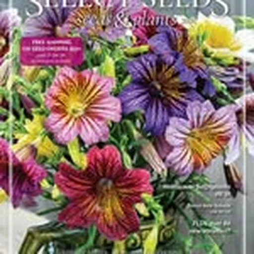 @selectseeds profile image