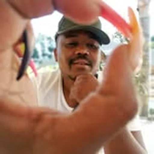@sellomodiga profile image