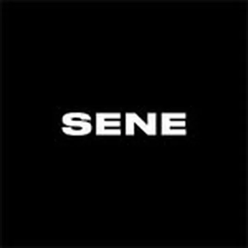 @senestudio profile image