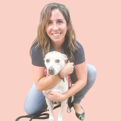 @seniordogdoc profile image