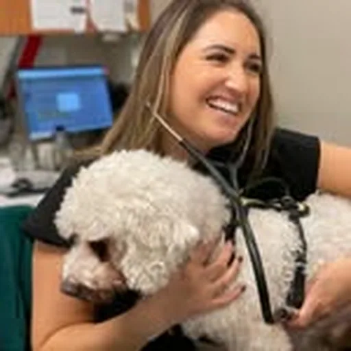 @seniordogvets profile image