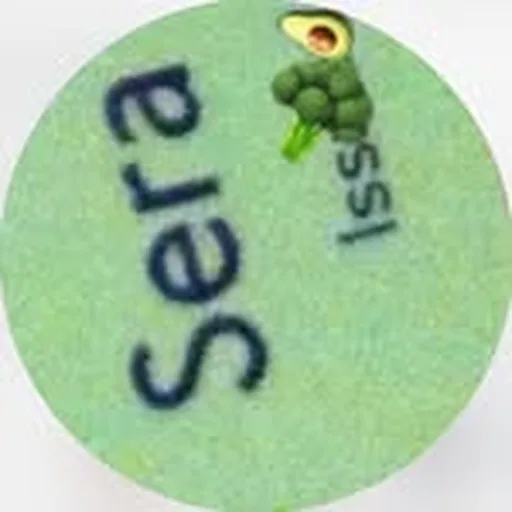 @seraleesera profile image