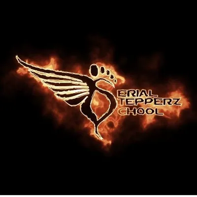 @serial_stepperz_school profile image