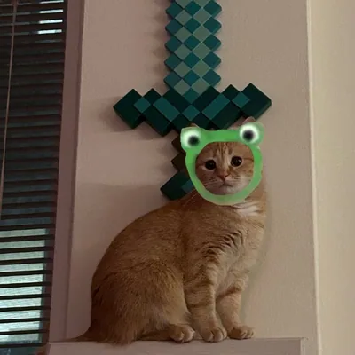 @serotoninmemes profile image