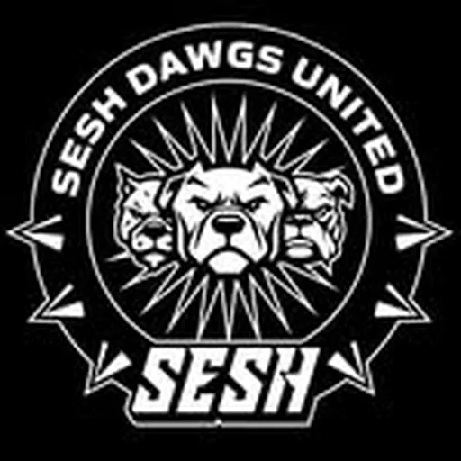 @seshdawgsunited profile image