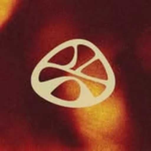 @sesroquesoficial profile image