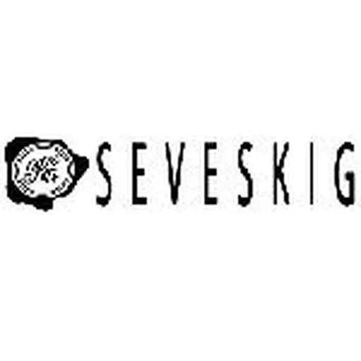 @seveskig profile image