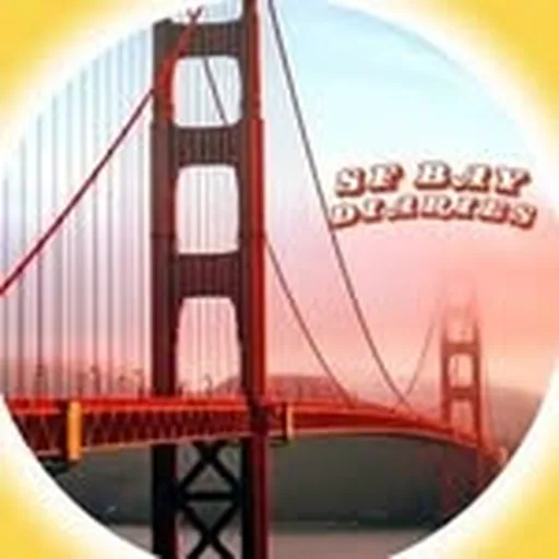 @sfbaydiaries profile image