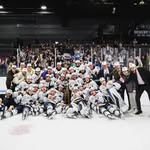 @sfstampede profile image