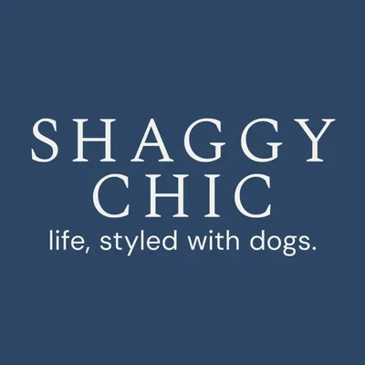 @shaggychicinc profile image